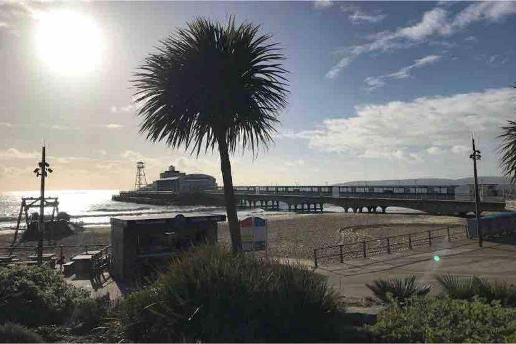 Bournemouth Nr Town Beach Train Coach Shops Lovely Entire Apartment Allows Quiet Good Dogs Esterno foto